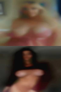 Colletehintermeister, , 